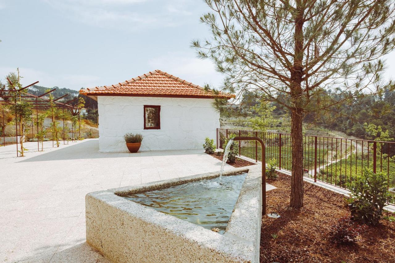 Oliveiras Village — Agroturismo Амаранте Экстерьер фото